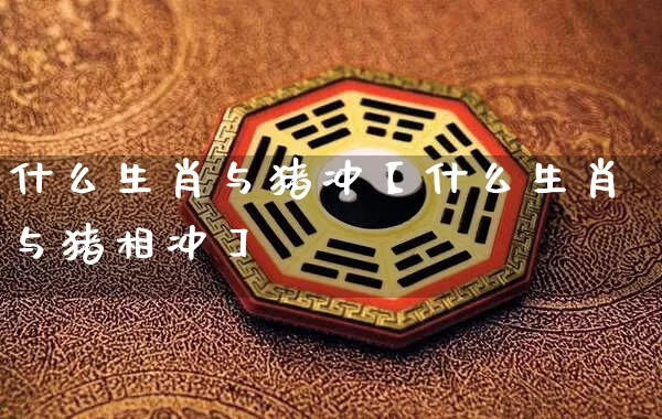 什么生肖与猪冲【什么生肖与猪相冲】_https://www.nbtfsb.com_八字算命_第1张