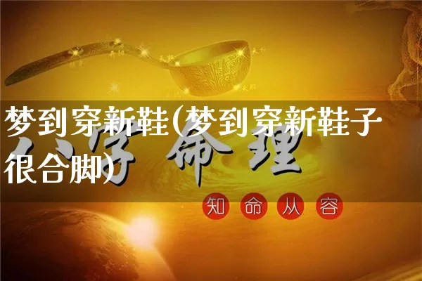 梦到穿新鞋(梦到穿新鞋子很合脚)_https://www.nbtfsb.com_生肖星座_第1张