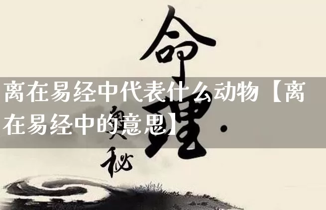 离在易经中代表什么动物【离在易经中的意思】_https://www.nbtfsb.com_易经起名_第1张