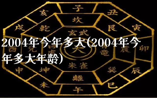 2004年今年多大(2004年今年多大年龄)_https://www.nbtfsb.com_道源国学_第1张