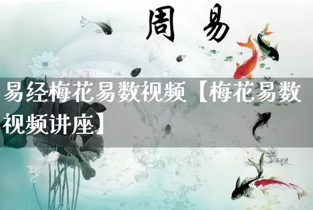 易经梅花易数视频【梅花易数视频讲座】_https://www.nbtfsb.com_五行风水_第1张