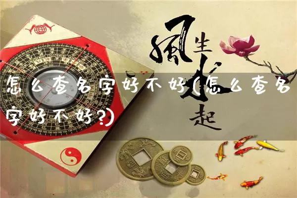 怎么查名字好不好(怎么查名字好不好?)_https://www.nbtfsb.com_易经起名_第1张