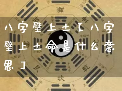 八字壁上土【八字壁上土命是什么意思】_https://www.nbtfsb.com_易经起名_第1张