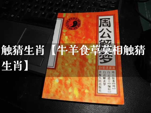 触猜生肖【牛羊食草莫相触猜生肖】_https://www.nbtfsb.com_八字算命_第1张