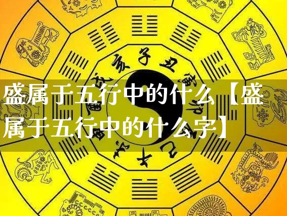 盛属于五行中的什么【盛属于五行中的什么字】_https://www.nbtfsb.com_易经起名_第1张