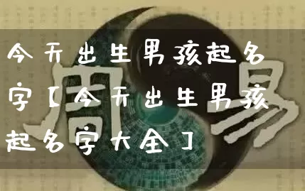 今天出生男孩起名字【今天出生男孩起名字大全】_https://www.nbtfsb.com_易经起名_第1张