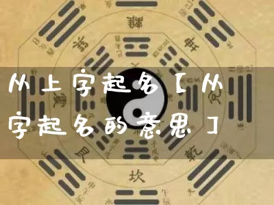 从上字起名【从字起名的意思】_https://www.nbtfsb.com_国学动态_第1张