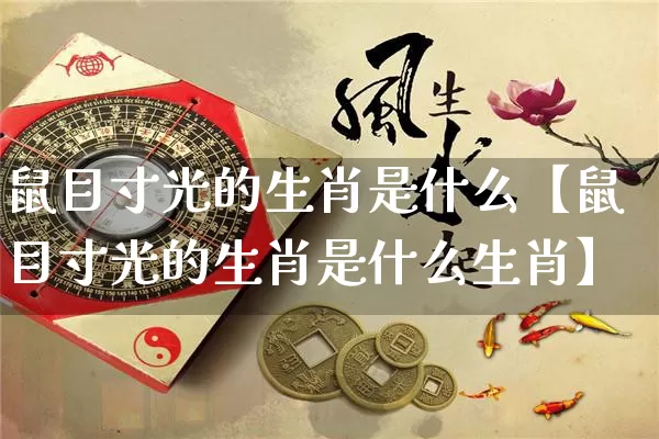 鼠目寸光的生肖是什么【鼠目寸光的生肖是什么生肖】_https://www.nbtfsb.com_八字算命_第1张